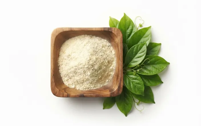 Gymnema sylvestre extract ingredient